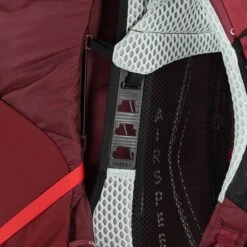 Osprey Aura AG LT 65 WXS/S Antidote Purple 30 Osprey Aura AG LT 65 WXS/S Antidote Purple -Mode Tassen image 3082