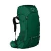 Osprey Rook 50 Mallard Green -Mode Tassen image 3174