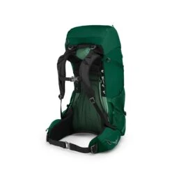 Osprey Rook 50 Mallard Green -Mode Tassen image 3175