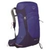 Osprey Sirrus 26 Backpack Blueberry -Mode Tassen image 3917