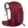 Osprey Talon 22 Backpack L/XL Cosmic Red -Mode Tassen image 4332
