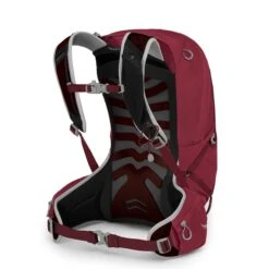 Osprey Talon 22 Backpack L/XL Cosmic Red -Mode Tassen image 4334