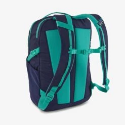 Patagonia Refugio Day Pack 26L Black -Mode Tassen image 7966